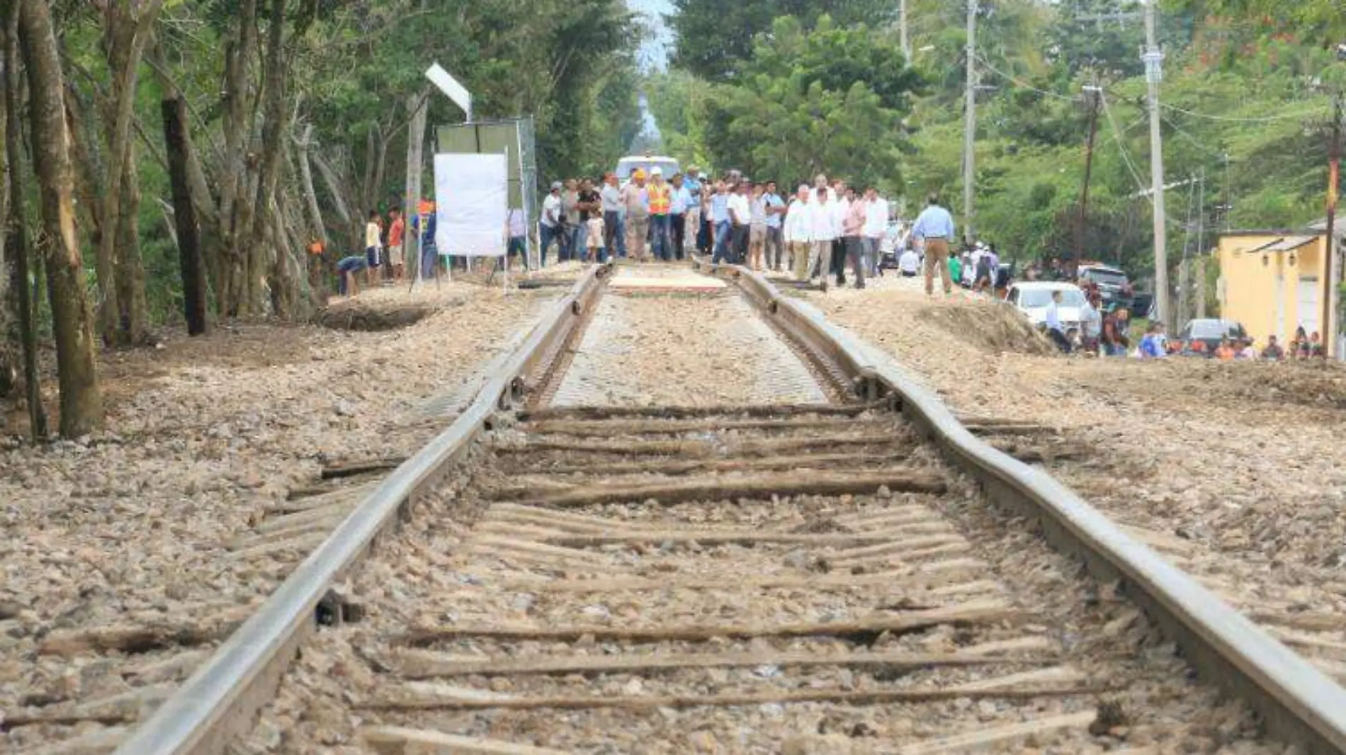 tren maya